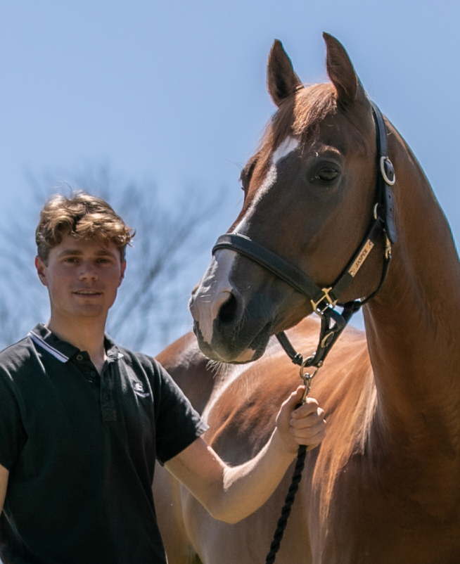 Freelance Groom Insurance and online tools British Grooms Association